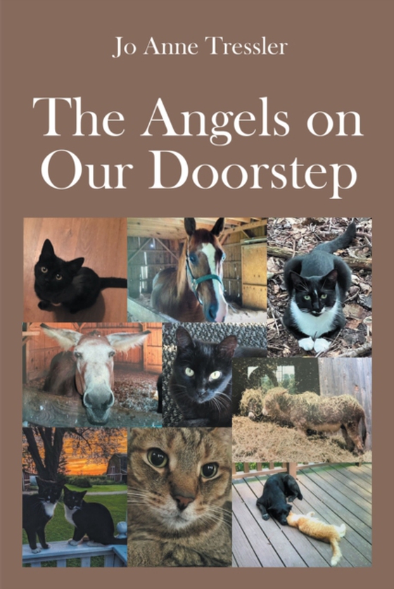 Angels on Our Doorstep (e-bog) af Tressler, Jo Anne