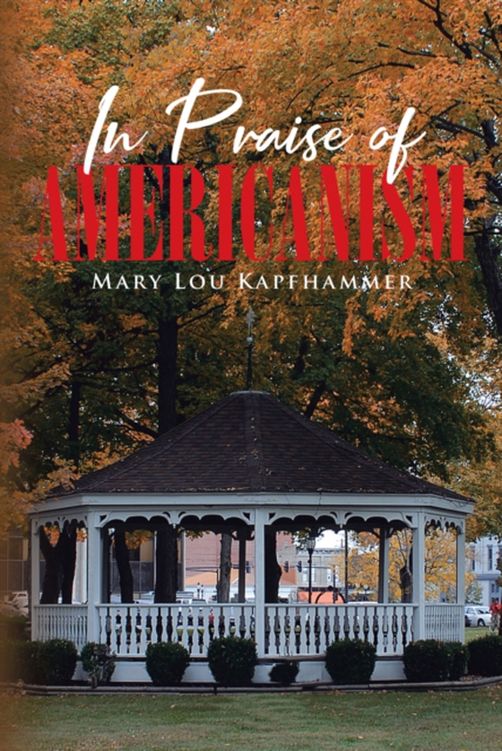 In Praise of Americanism (e-bog) af Kapfhammer, Mary Lou