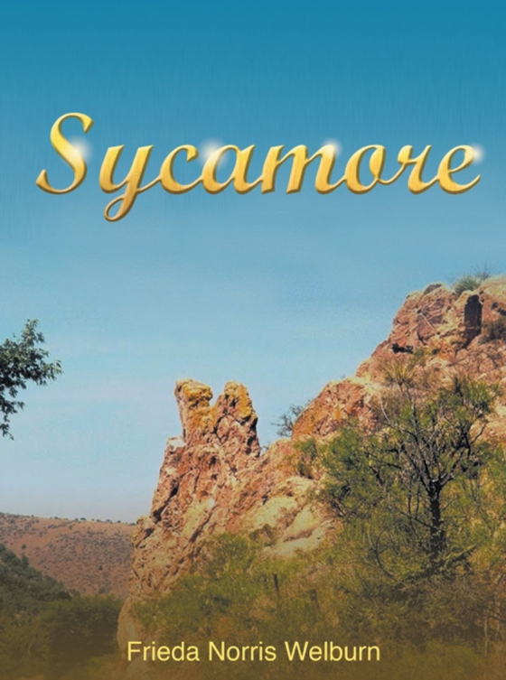 Sycamore