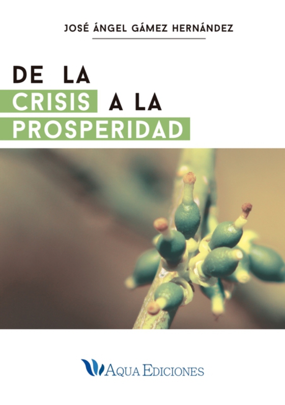 De la crisis a la prosperidad (e-bog) af Hernandez, Jose Angel Gamez
