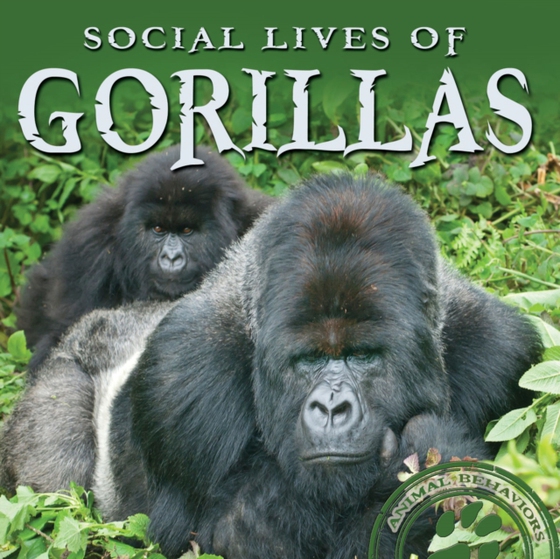 Social Lives of Gorillas (e-bog) af Wilson, Rachel M.