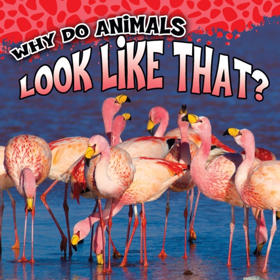 Why Do Animals Look Like That? (e-bog) af George, Sam