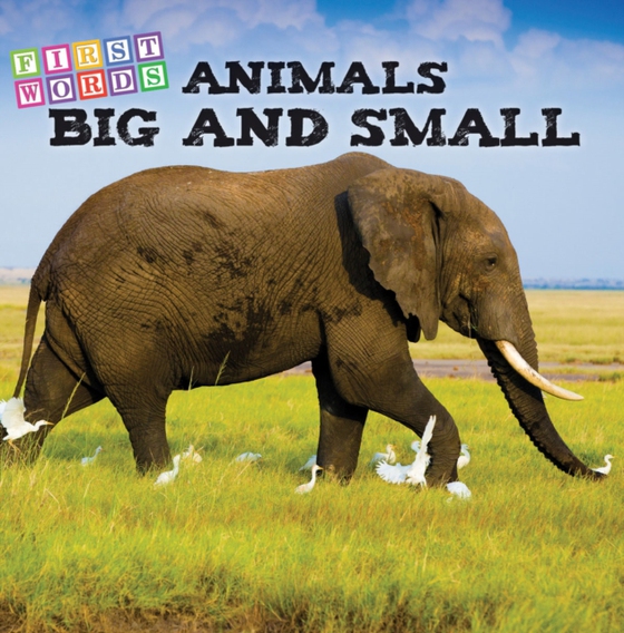 Animals Big and Small (e-bog) af Wallace, Rhea