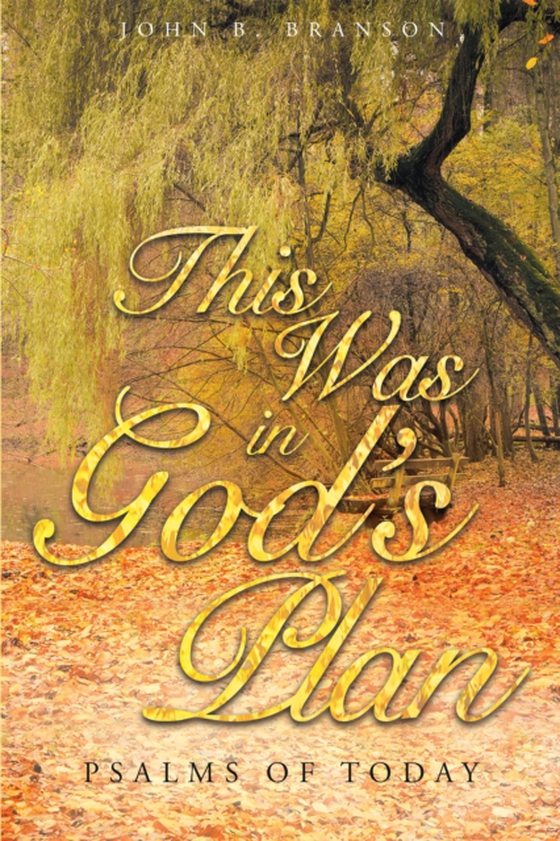 This Was in God's Plan: Psalms of Today (e-bog) af Branson, John