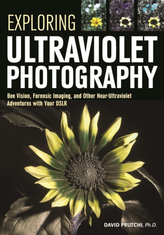 Exploring Ultraviolet Photography