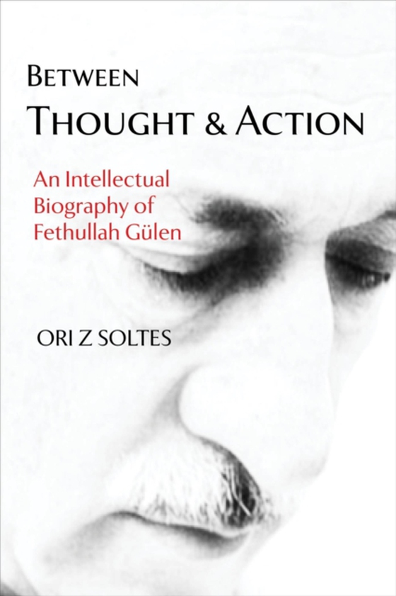 Between Thought and Action (e-bog) af Soltes, Ori