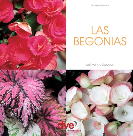 Las begonias (e-bog) af Daniela Beretta, Beretta