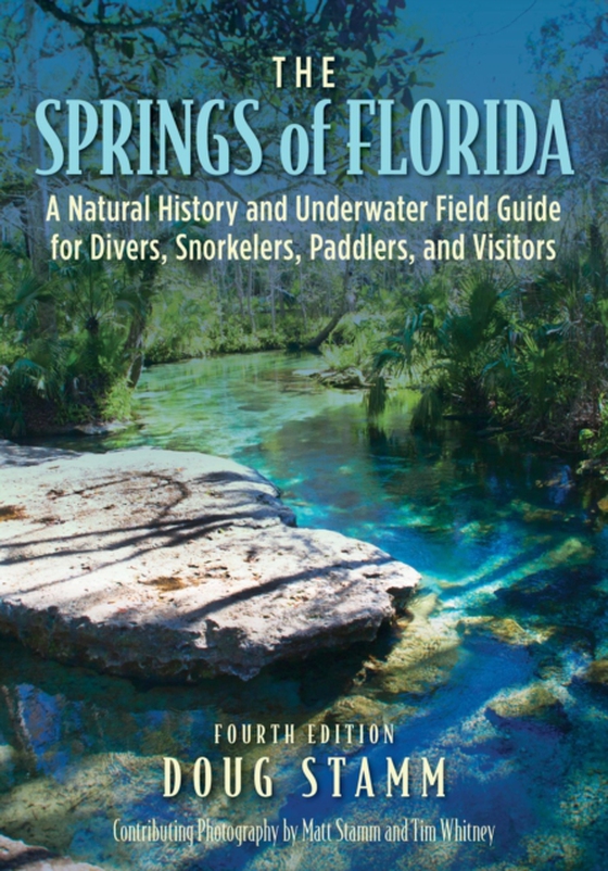 Springs of Florida (e-bog) af Stamm, Doug