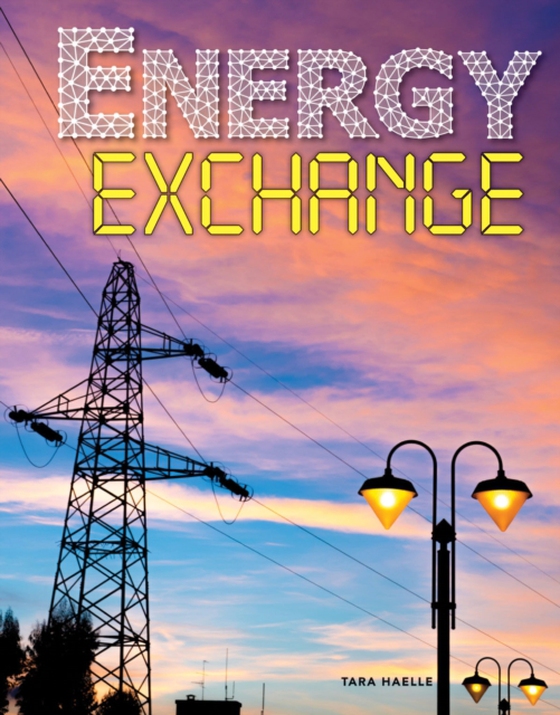 Energy Exchange