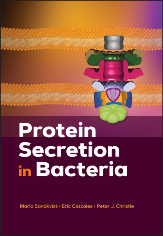 Protein Secretion in Bacteria (e-bog) af -