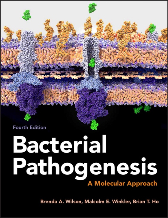 Bacterial Pathogenesis (e-bog) af Ho, Brian T.