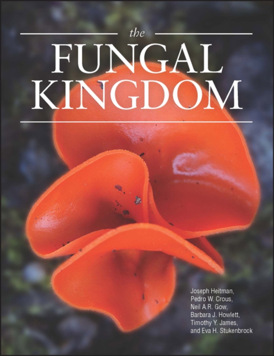 Fungal Kingdom (e-bog) af Gow, Neil A. R.