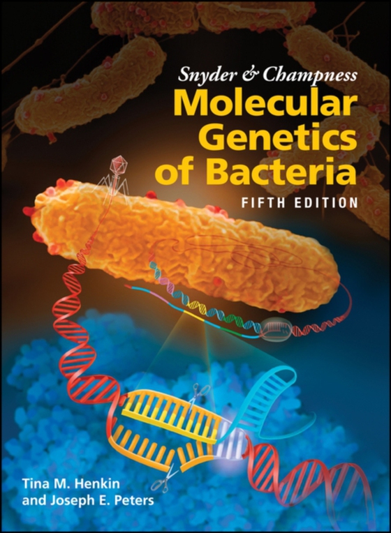 Snyder and Champness Molecular Genetics of Bacteria (e-bog) af Peters, Joseph E.