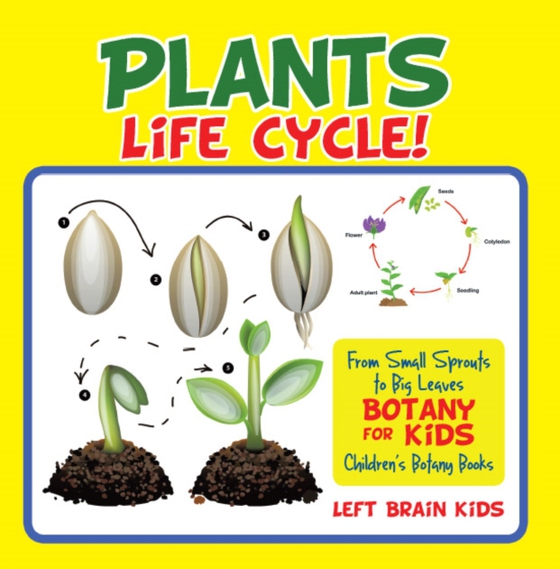 Plant's Life Cycle! From Small Sprouts to Big Leaves - Botany for Kids - Children's Botany Books