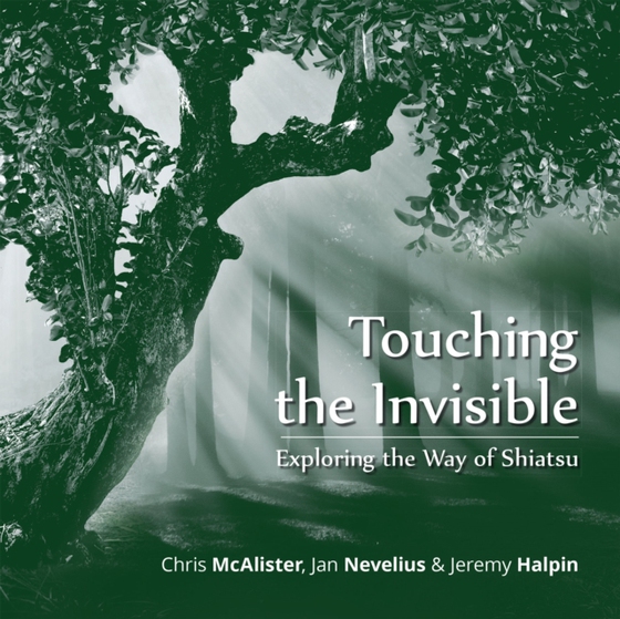 Touching the Invisible (e-bog) af Nevelius, Jan