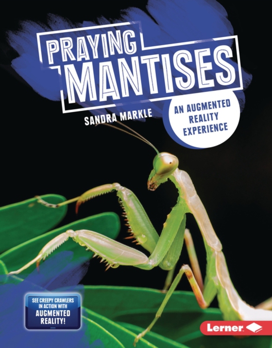Praying Mantises (e-bog) af Markle, Sandra