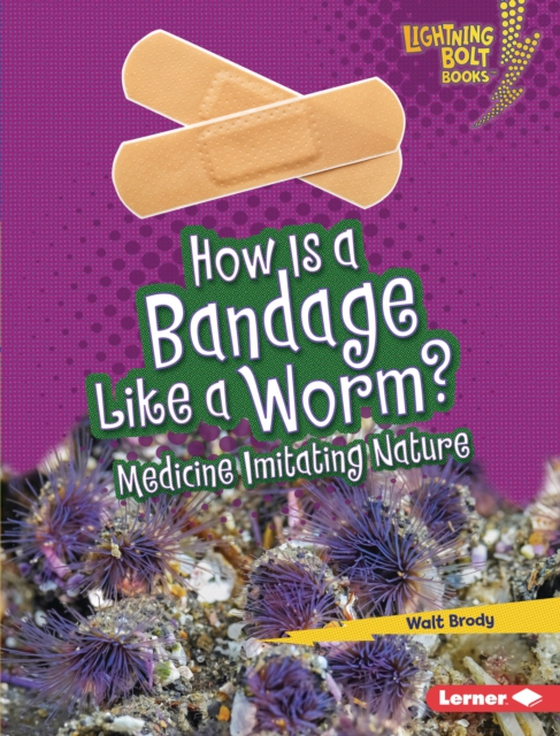 How Is a Bandage Like a Worm? (e-bog) af Brody, Walt