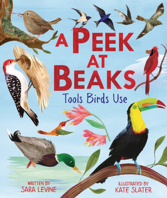 Peek at Beaks