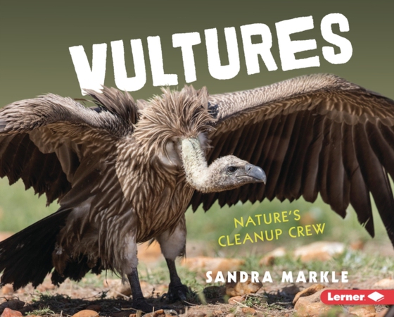 Vultures