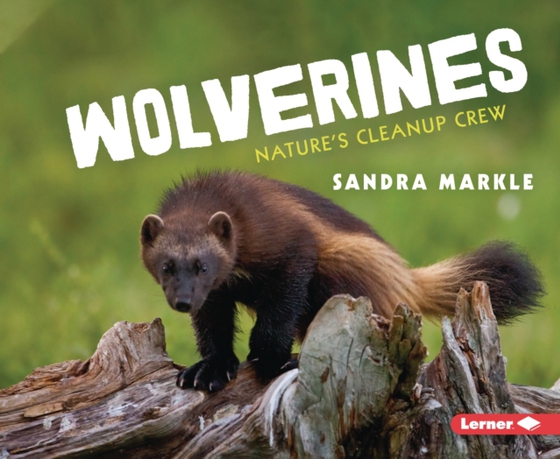 Wolverines (e-bog) af Markle, Sandra