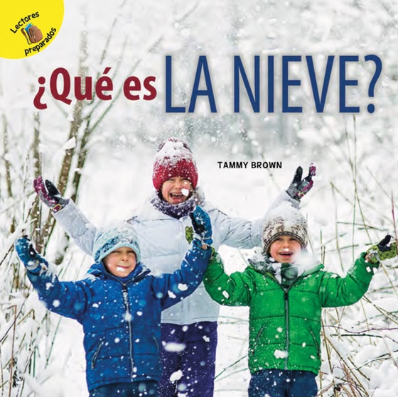 ¿Qué es la nieve?