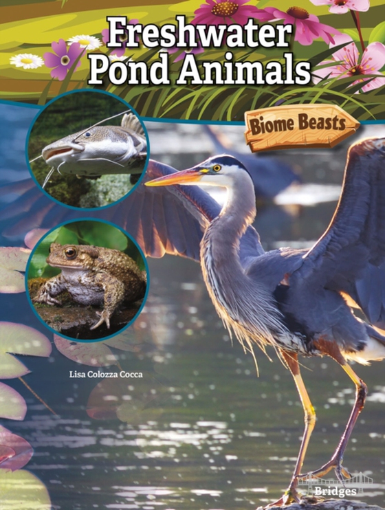 Freshwater Pond Animals