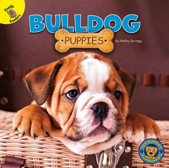 Bulldog Puppies (e-bog) af Scragg
