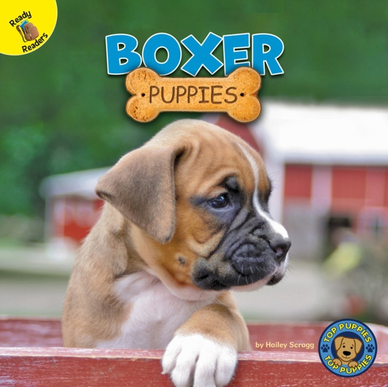 Boxer Puppies (e-bog) af Scragg