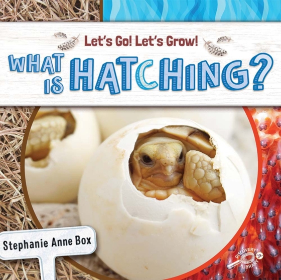 What Is Hatching? (e-bog) af Box, Stephanie Anne