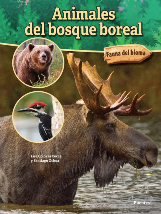 Animales del bosque boreal (e-bog) af Cocca, Lisa Colozza