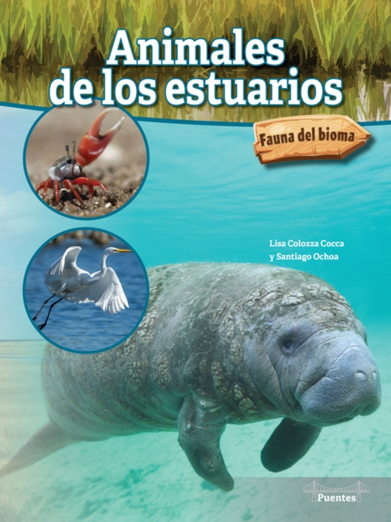 Animales de los estuarios