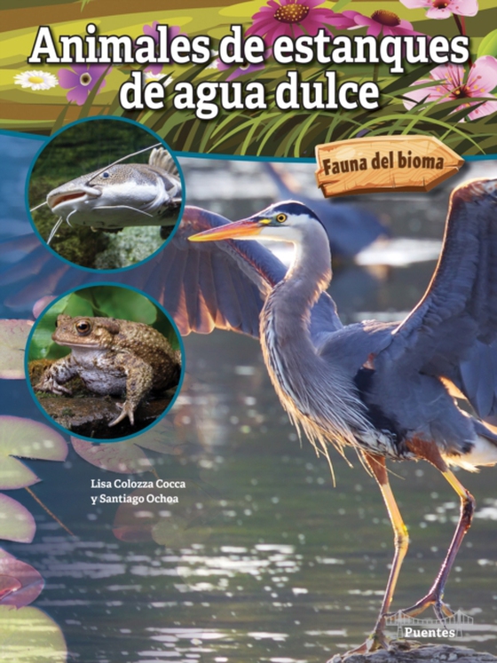 Animales de estanques de agua dulce