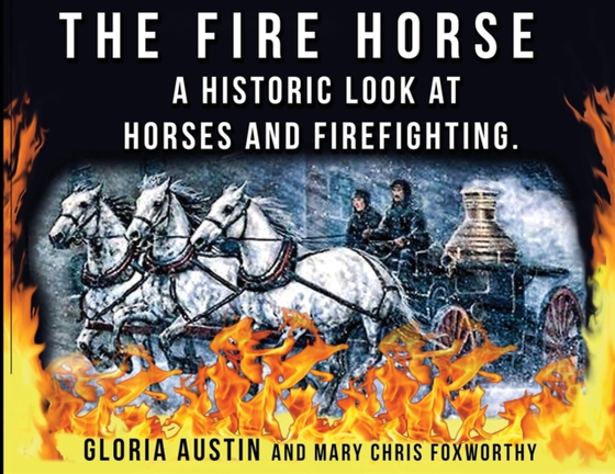 Fire Horse (e-bog) af Foxworthy, Mary Chris