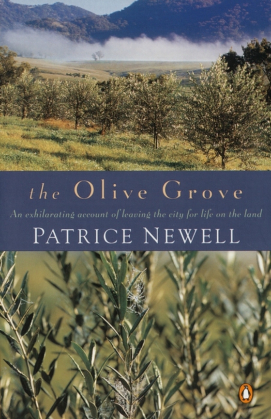 Olive Grove