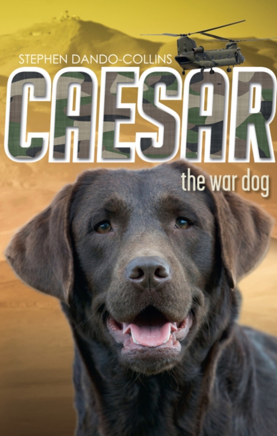 Caesar the War Dog