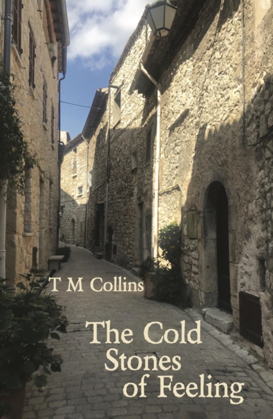 Cold Stones of Feeling (e-bog) af Collins, T M