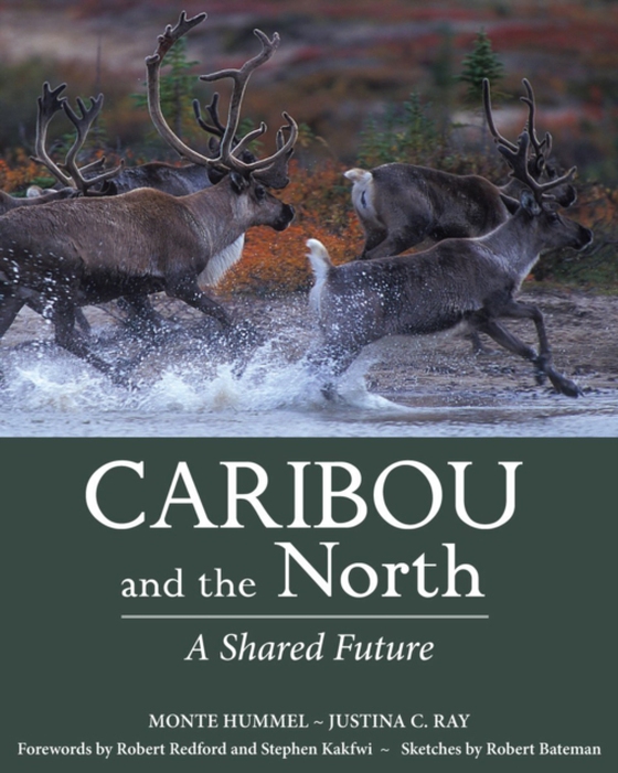 Caribou and the North (e-bog) af Ray, Justina C.