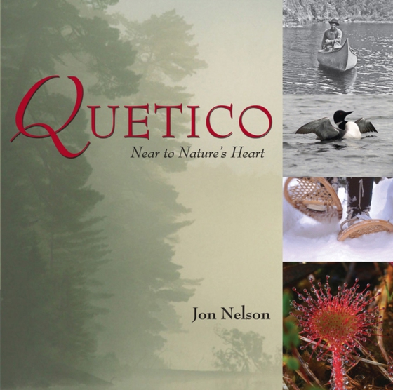 Quetico