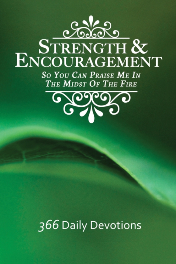 Strength & Encouragement: So You Can Praise Me in the Midst of the Fire 366 Daily Devotions (e-bog) af Sanford, Debra Stuart