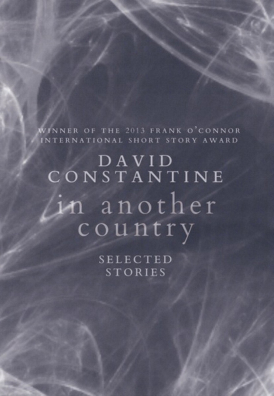 In Another Country (e-bog) af Constantine, David