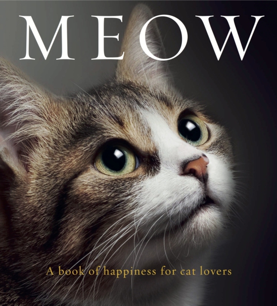 Meow (e-bog) af -