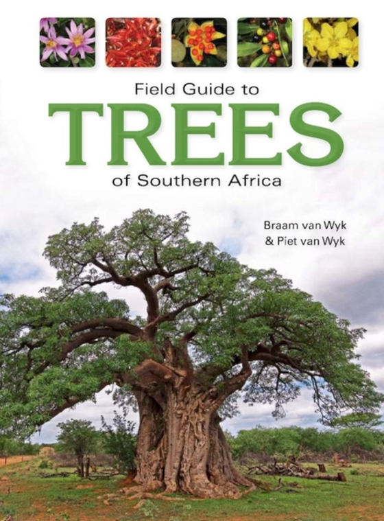 Field Guide to Trees of Southern Africa (e-bog) af Wyk, Braam van