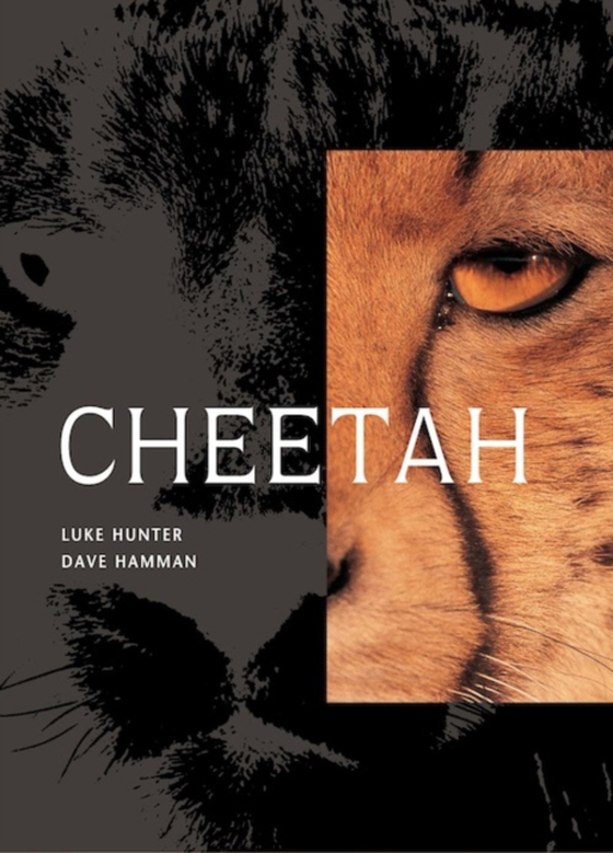 Cheetah (e-bog) af Hunter, Luke