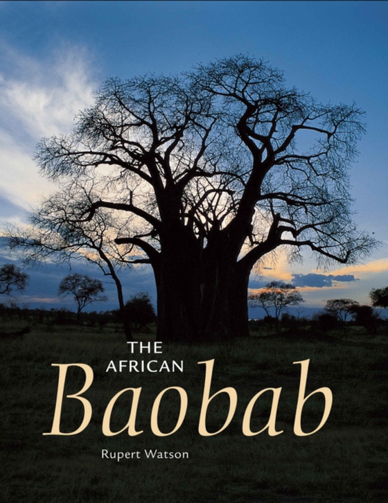 African Baobab