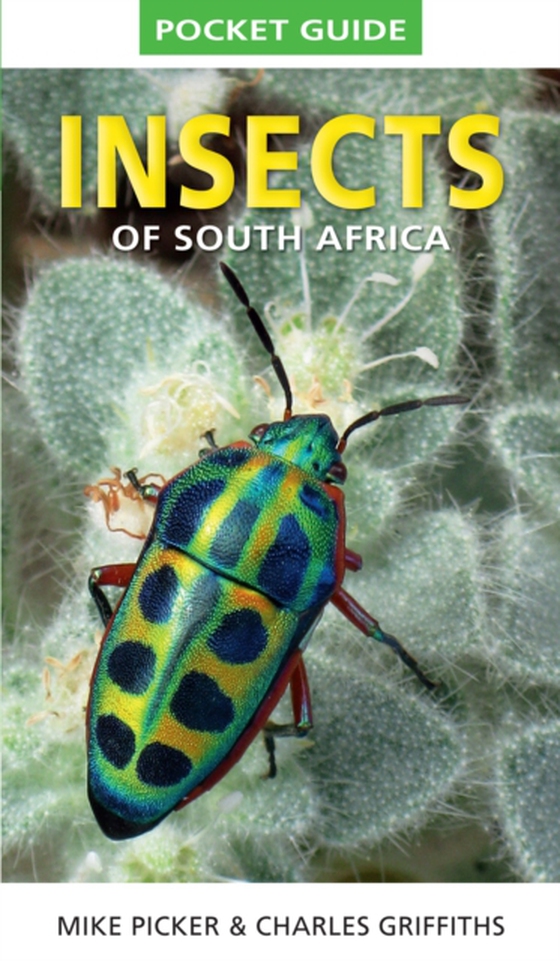 Pocket Guide to Insects of South Africa (e-bog) af Picker, Mike