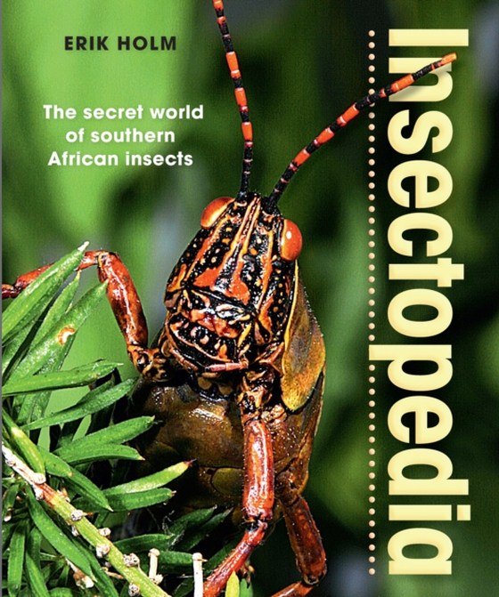 Insectopedia - The secret world of southern African insects (e-bog) af Holm, Erik