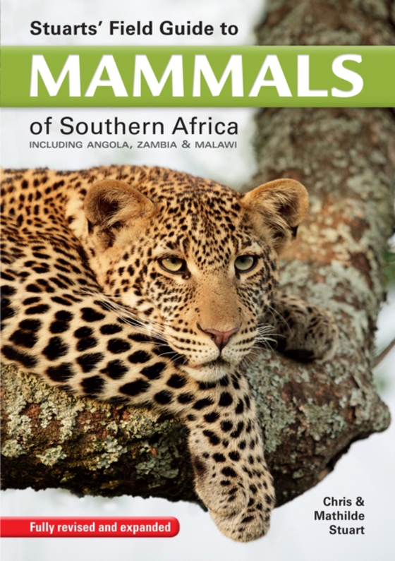 Stuarts' Field Guide to Mammals of Southern Africa (e-bog) af Stuart, Chris