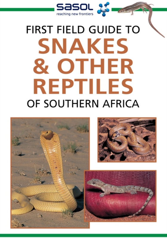 Sasol First Field Guide to Snakes & other Reptiles of Southern Africa (e-bog) af Hawthorne, Tracey