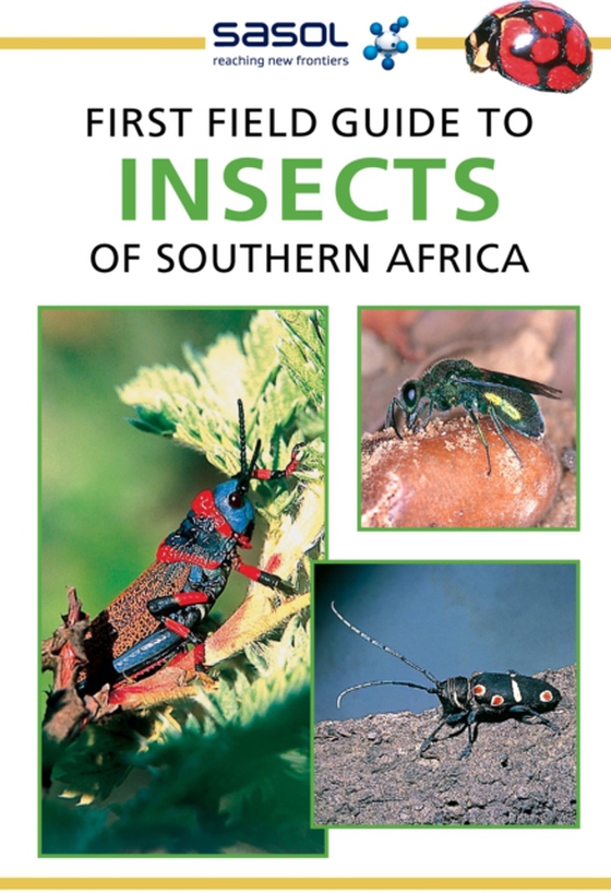 Sasol First Field Guide to Insects of Southern Africa (e-bog) af Weaving, Alan