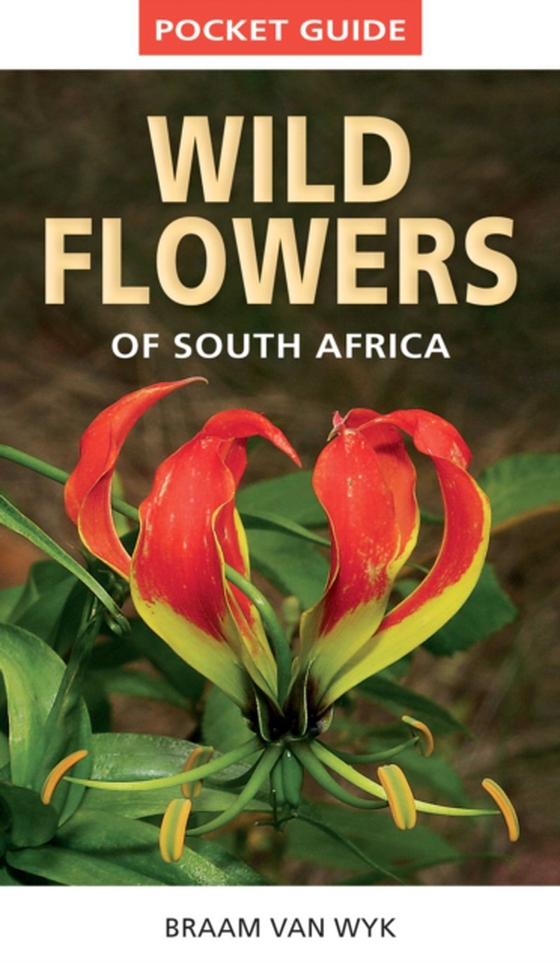 Pocket Guide to Wildflowers of South Africa (e-bog) af Wyk, Braam van